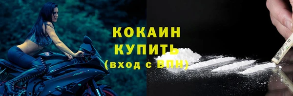 твердый Осинники