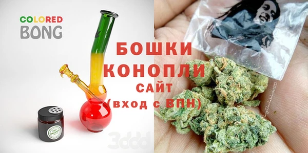дживик Балахна