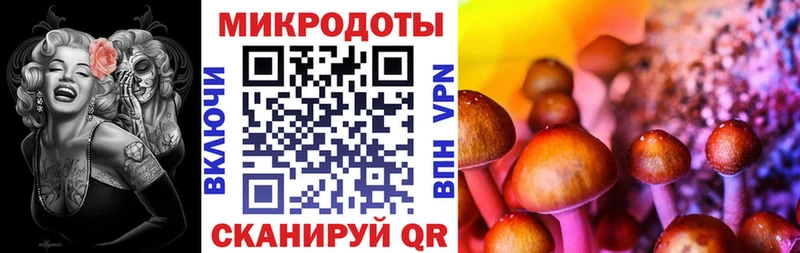 Галлюциногенные грибы Psilocybe  Старая Купавна 